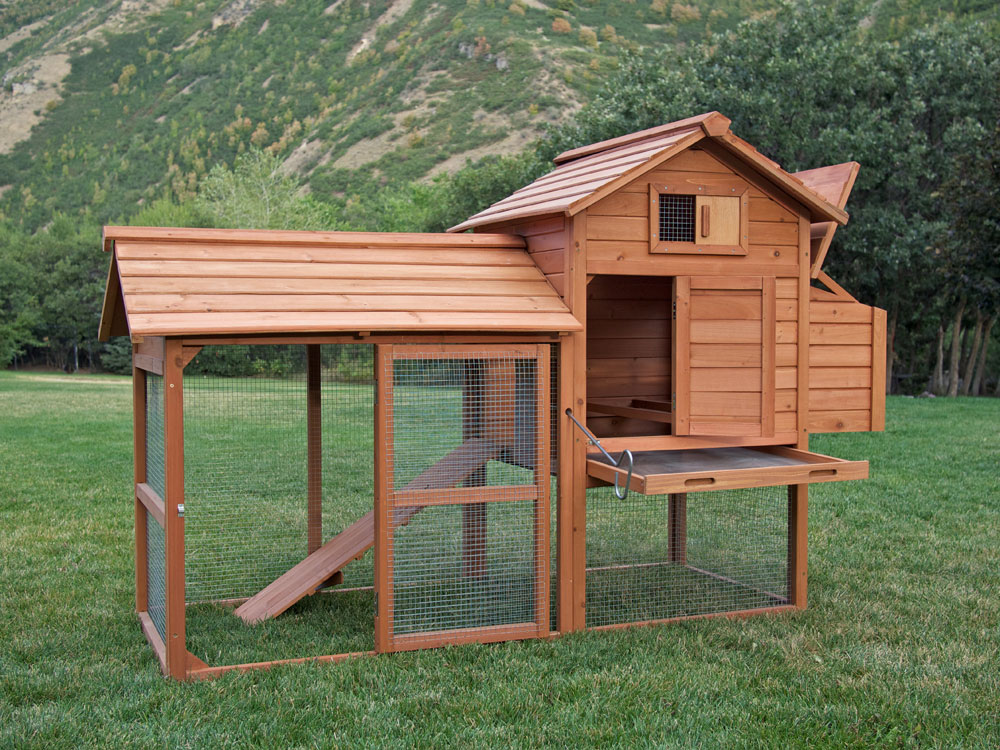 How to build a Chicken coop - Prepper Steve